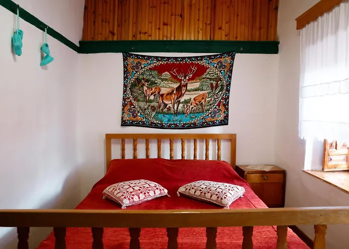 Guest house 1805 Gjirokaster